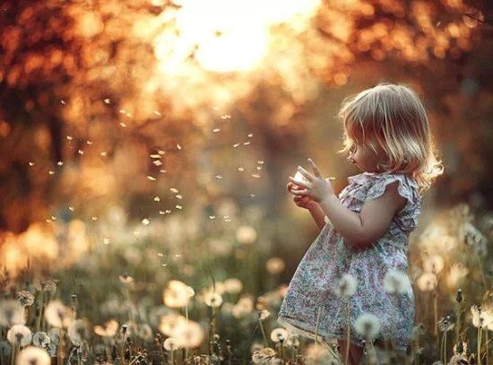 5��ٴ��ھ��ӵ�����ϸ��