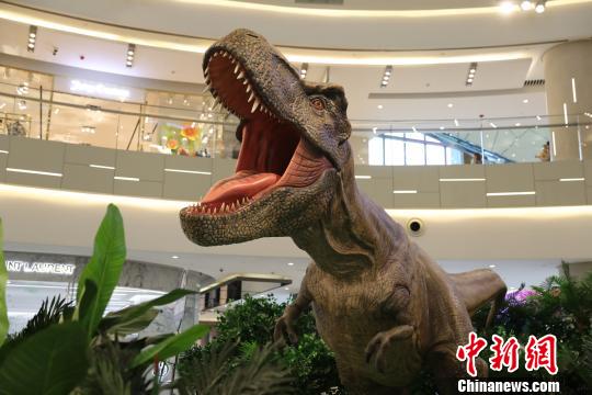 逾11米长的雷克斯霸王龙以经典仰天怒吼之姿再现史前霸主的威武形象。供图