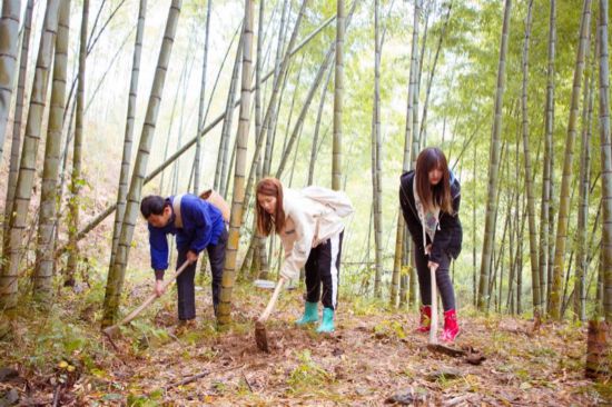 学做徽州名菜 演绎传统戏曲 《蜜食记4》解锁百变陈昊宇