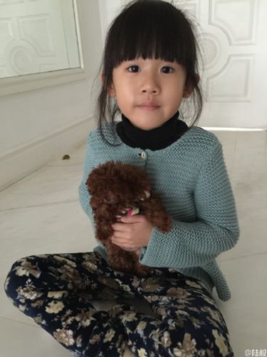 陆毅爱女坐地上怀抱小狗网友赞:贝儿好漂亮(图)