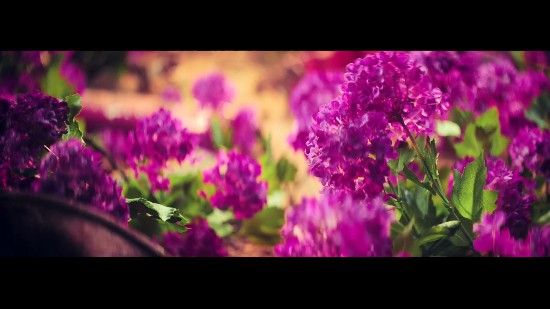 育碧将在TGA2018发布孤岛惊魂系列新作