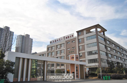 ����ʦ��ѧ��ѧ����Сѧ