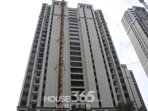 3��¥ʵ�� 365�ز��Ҿ���/��