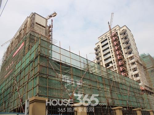 ����ʵ��ͼ 365�ز��Ҿ���/��