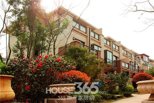 柏庄丽城城市别墅