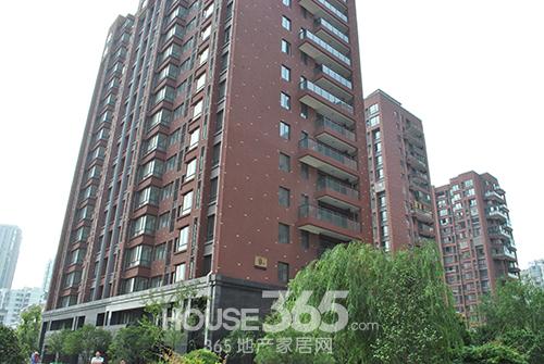 9#楼王稀缺发售中