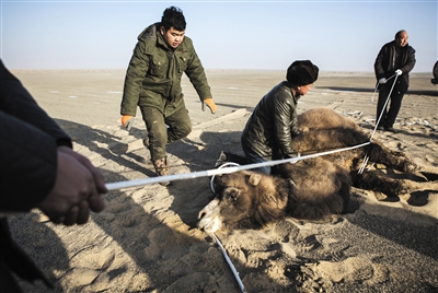 12��11�գ��ƿ���Ա��ס��һ��Լ����󡢽�Ϊ��˳��Ұ���գ������������ս�����ʹ���Լ��Ե����Լ����˺���