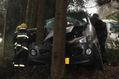 四川一景区车撞树 游客:失控时司机仍发短信