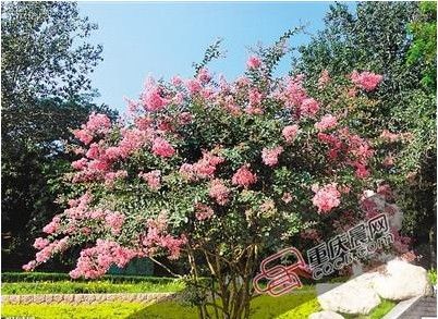 ������Ů��ϲ����ɽ�����͵50����ޱ��������ǰ