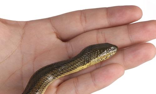 ����һŮ�ӻ��ֲ� �������߾�����