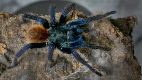 ����һŮ�ӻ��ֲ� �������߾�����