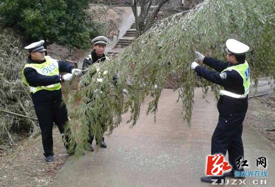 ������·���� �żҽ罻��������ʱ