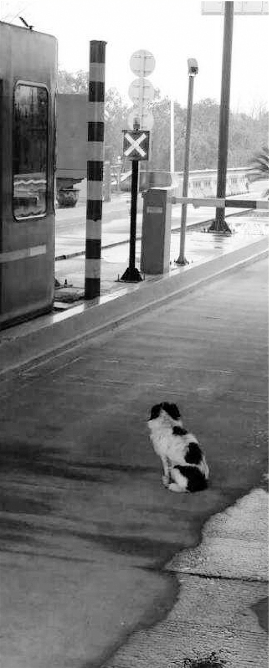 С���շ�վ�����³�Ϊ������ԭ�صȺ�13�죨ͼ��