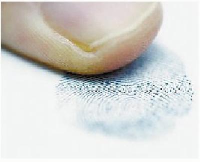 ���������һҳ