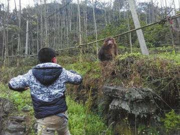 ���������һҳ