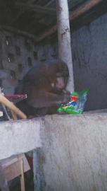 ���������һҳ