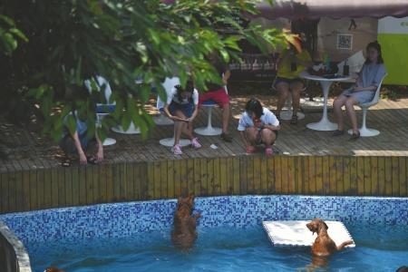 ���Ź�����Ӿ������úܻ����ⷽ�ۺ�����ο