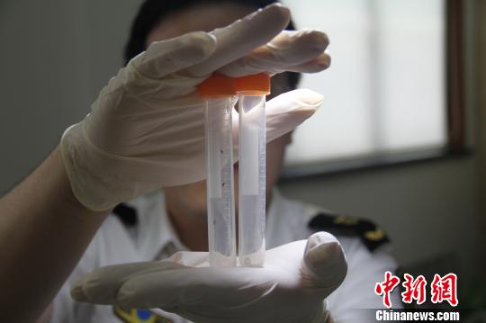 �㽭�����ڰ��״��ڵ�������в����ֻ�������