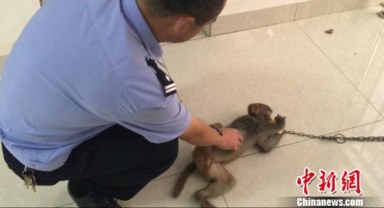 ���ϸ���������⨺ﵱ���ȳ衱�⴦��