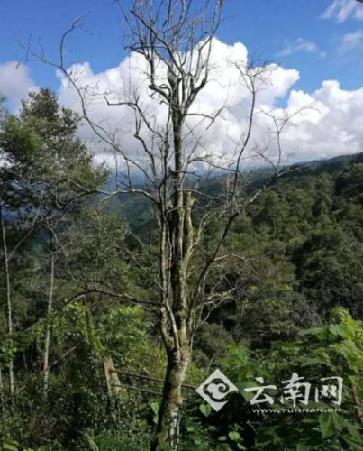 ���������һҳ