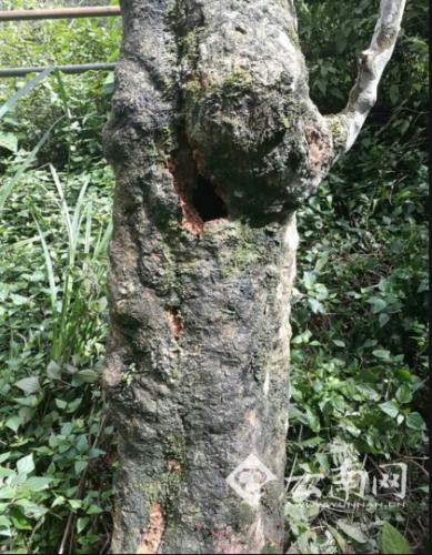 ���������һҳ