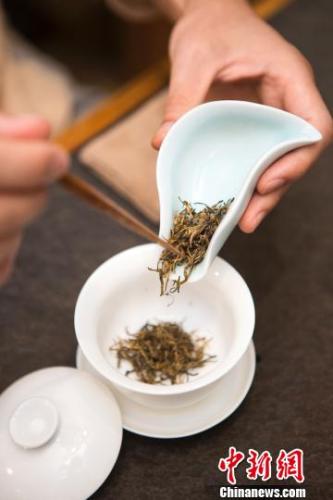 �ݲ� �ɽ��� ��