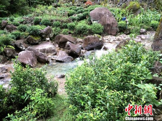 ������ɽ��ˮ��ĺò� �ɽ��� ��