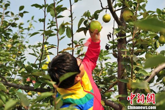 �ӱ���ƽ�ء���Ķ��԰������ũ��Ǯ����