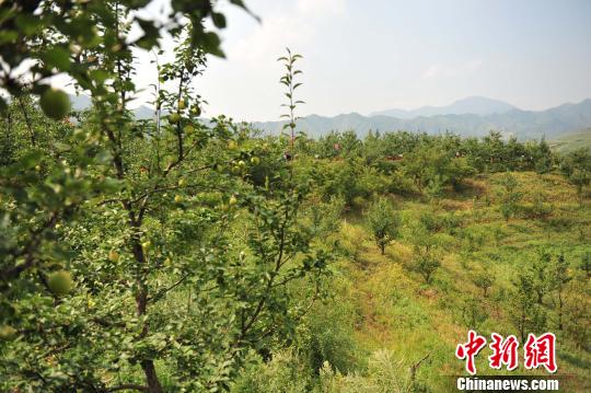 ��������ɽ���µ����������д� �ŷ� ��