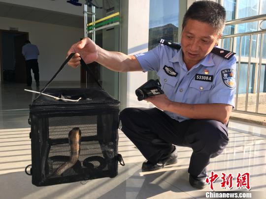 �۾������������Ħ�г�ɭ����ʱ�����飨ͼ��