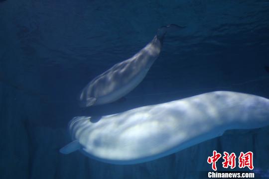 �������ġ��й������׾�С���� �ɭ ��