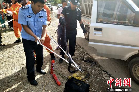 �����۾��������΢�ͳ��Ż�����ɭ����ʱ��������