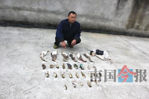 ���������һҳ