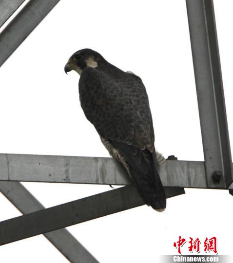 վ�������ϵ����� �־ ��