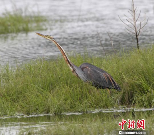 ���������ǰ�����϶�ͥ�������������������á�