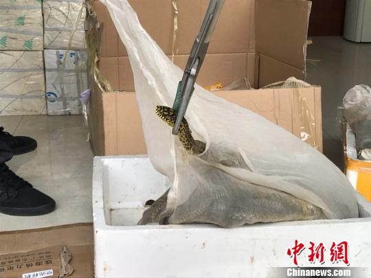 ͼΪ����������ߵ���������ͼ �꺣