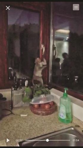 С�ﴳ�����¥