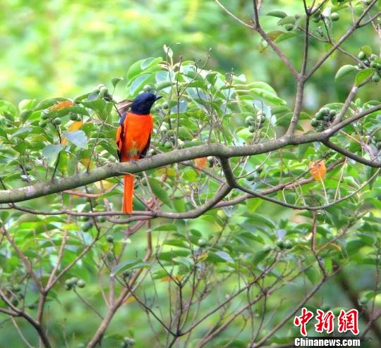 �㶫��������������񡱳�50�ֳ���ֻ������Ϣ֮��