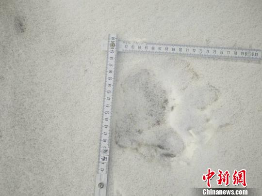 ���������һҳ