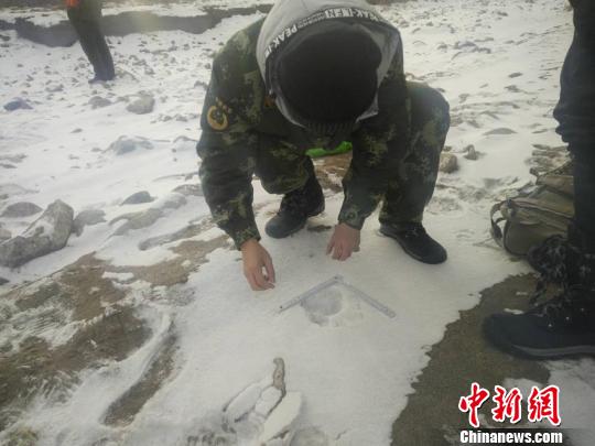 ���������һҳ