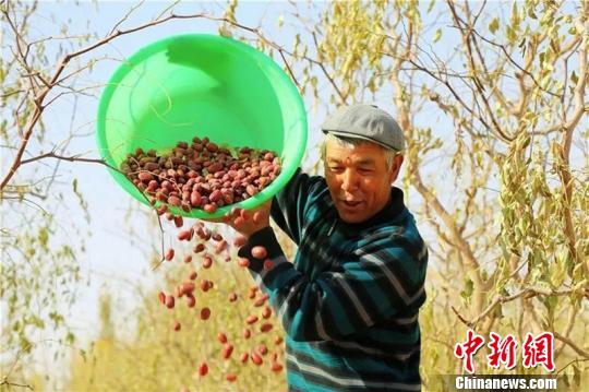 ��ũ���������ظ�������ջ�δ��ժ�꣬�ѱ��̼Ҷ���������ĩ��ί��������ͼ ��