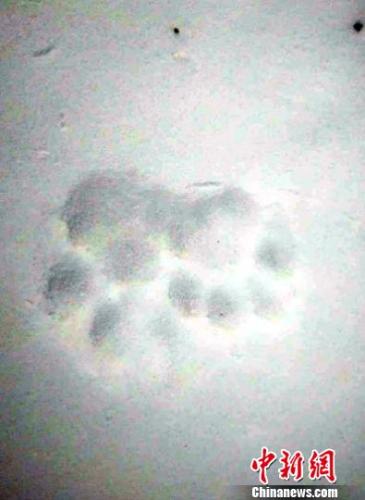 ���������һҳ