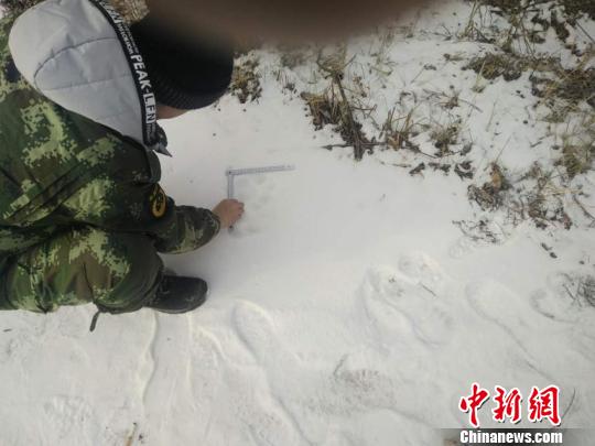 ���������һҳ