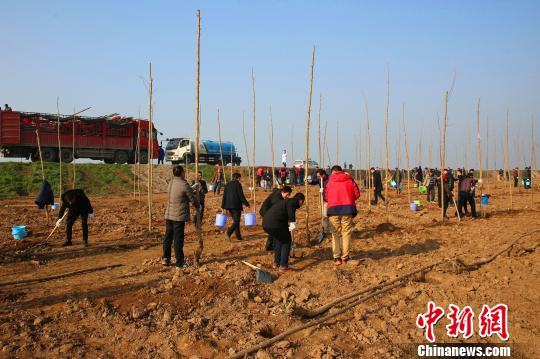 �˲���200���˲μ��˳������߸�������ֲ�� �޺�ɽ ��