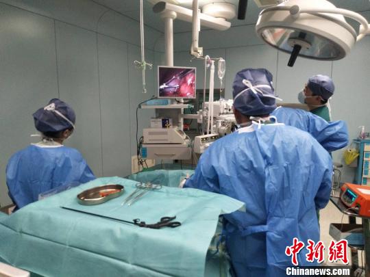 ������ʳ�������㽭һ16���к����ԡ���θ����