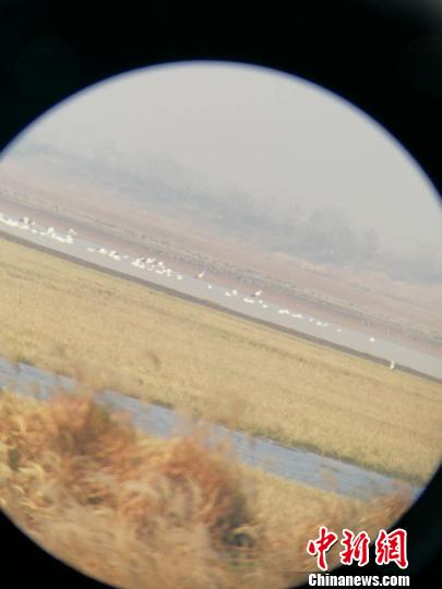 12��19�գ�����������۶����������ʳ������·�� ��