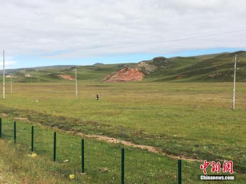 ���������һҳ