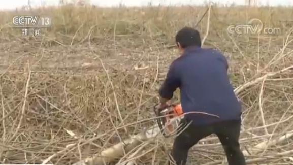 ���������һҳ