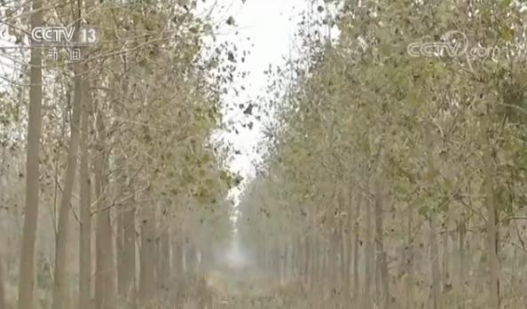 ���������һҳ