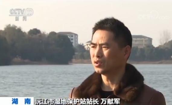 ���������һҳ